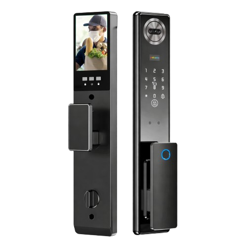 BSL Vision
